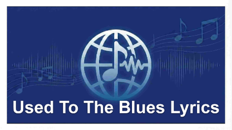 Used To The Blues Lyrics – ZAYN