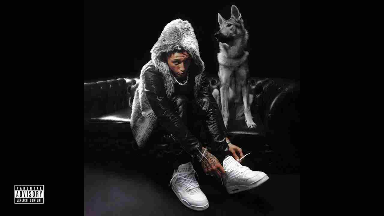 STUDIO/TRIBUNALE Lyrics English Translation – Nabi | DIAMANTE