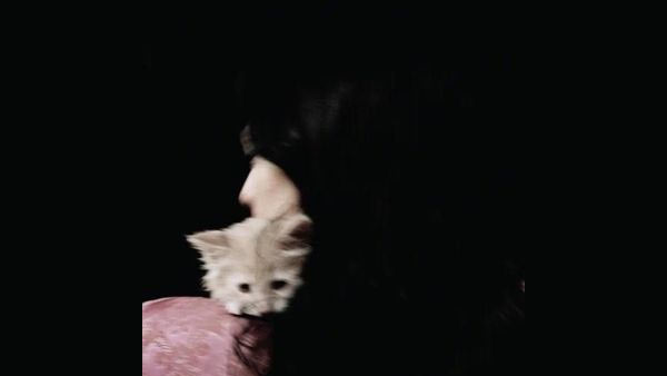 Kitten Lyrics - Not for Radio | Bloom